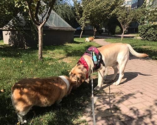 Dog Poop Bag Holder Dispenser with LED Flashlight - Night Visibility for Safe Evening Walks | Upgraded Hands-Free Leash Clip | Includes 15 Dog Waste Bags(Crystal Blue)